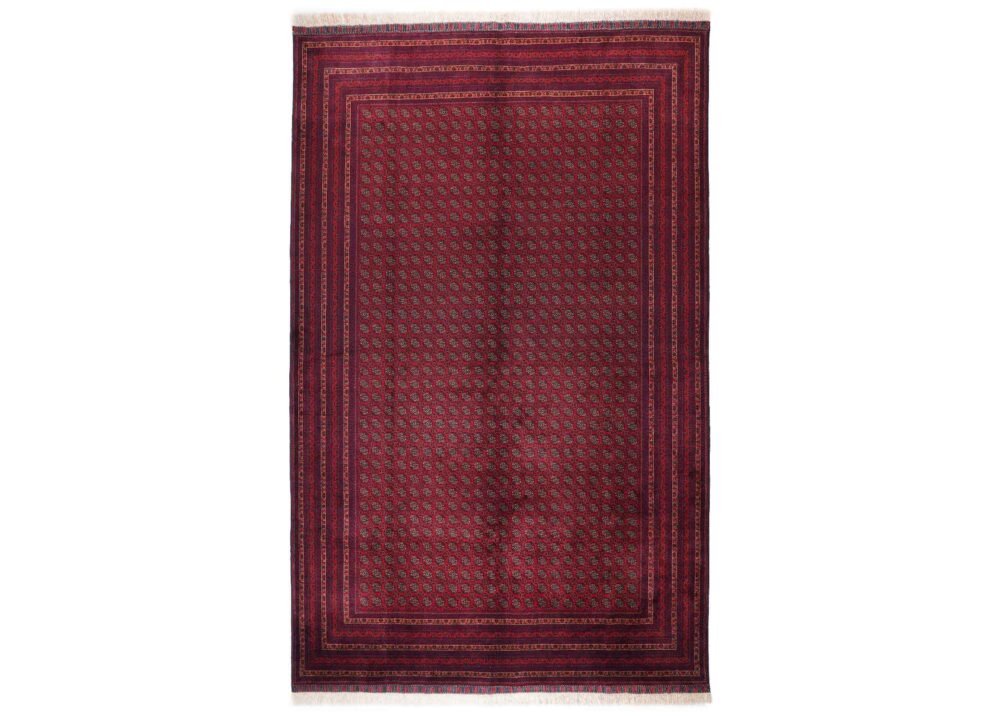 Large Red Rug Hand-Knotted Traditional Hocarusnai 9.6x6.4 ft - Rugs 1