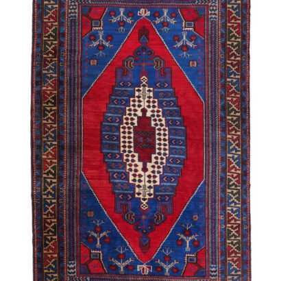 Taspinar Oriental Rug