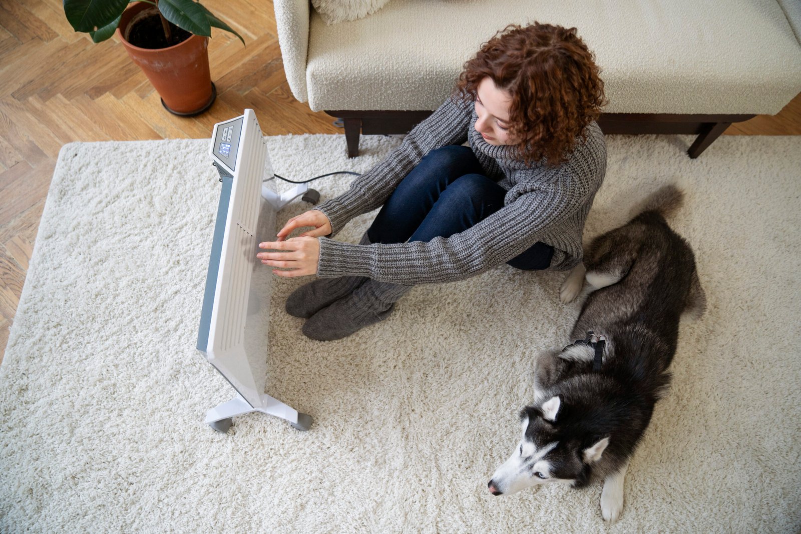 rugs for pet owners